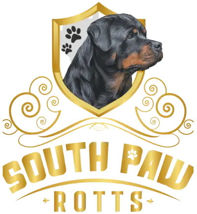 South Paw Rotts